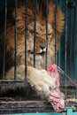 zoo kraków